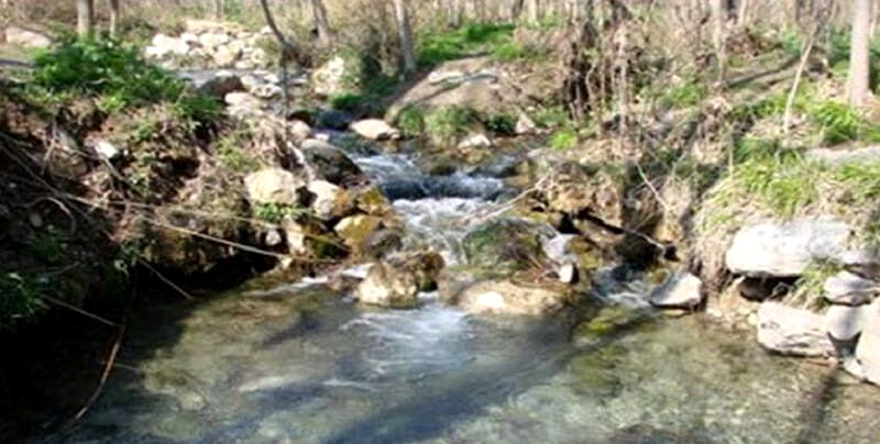 آزاد سازی ۵۰۰ مترمربع از اراضی بستر و حریم رودخانه عارفی مشهد