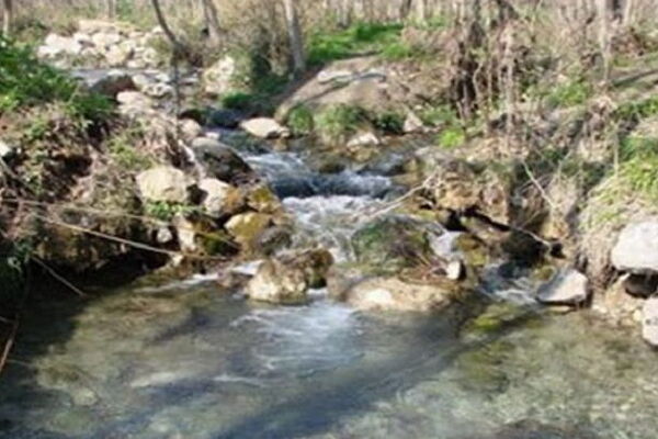 آزاد سازی ۵۰۰ مترمربع از اراضی بستر و حریم رودخانه عارفی مشهد