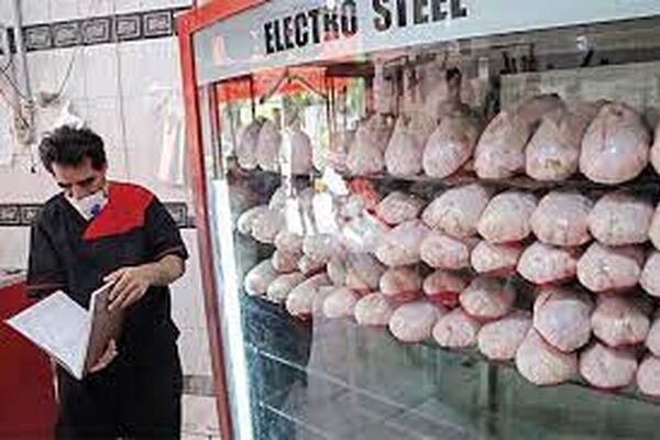 محدودیتی در زمینه توزیع گوشت منجمد نداریم/فراوانی گوشت گرم مرغ در بازار