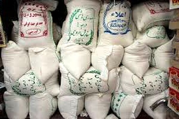 کاهش 20 درصدی تولید برنج باعث افزایش قیمت این محصول شد
