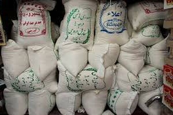 کاهش 20 درصدی تولید برنج باعث افزایش قیمت این محصول شد