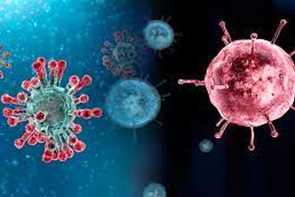 رعایت پروتکل‌های بهداشتی کرونا باعث کاهش شیوع آنفلوآنزا شده است