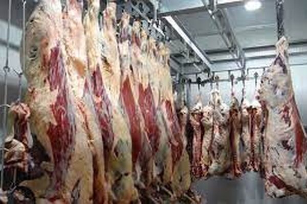 کاهش 35 درصدی کشتار دام سنگین در خراسان رضوی