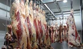 کاهش 35 درصدی کشتار دام سنگین در خراسان رضوی