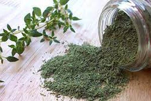 این افراد باید از مصرف آویشن خودداری کنند
