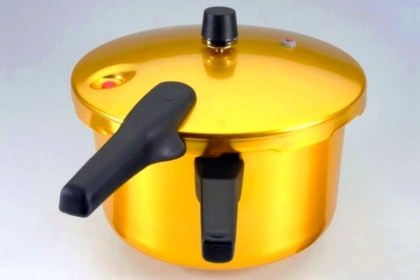 چه غذاهایی نباید داخل زودپز پخته شوند؟