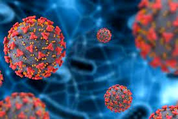 کشف آنتی بادی برای تمام گونه‌های جهش یافته کرونا