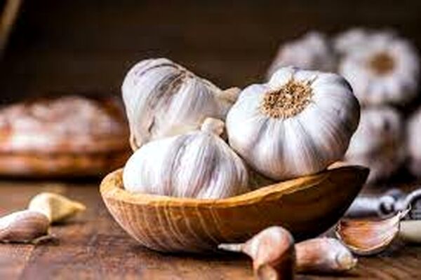 با استفاده از سیر و تخم کدو انگل‌های روده را از بین ببرید