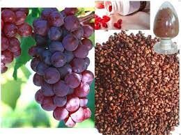 عصاره هسته انگور به افزایش طول عمر کمک می‌کند