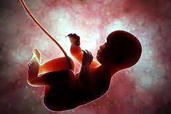 نقش آلودگی هوا در تغییر جنسیت جنین
