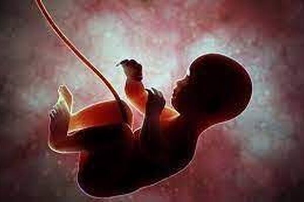 نقش آلودگی هوا در تغییر جنسیت جنین