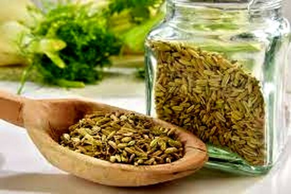 اثرات مثبت درمانی رازیانه برای زنان