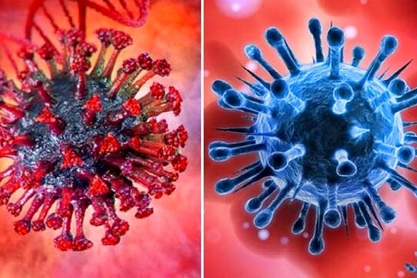 این الگوی ایمنی ژاپنی از ابتلا به ویروس کرونا جلوگیری می‌کند