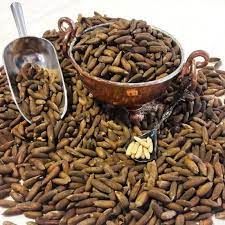 درمان چند بیماری با چلغوز/این دانه گران قیمت را بیشتر بشناسید