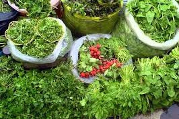 با ترکیب سبزی انواع آش‌ها آشنا شوید
