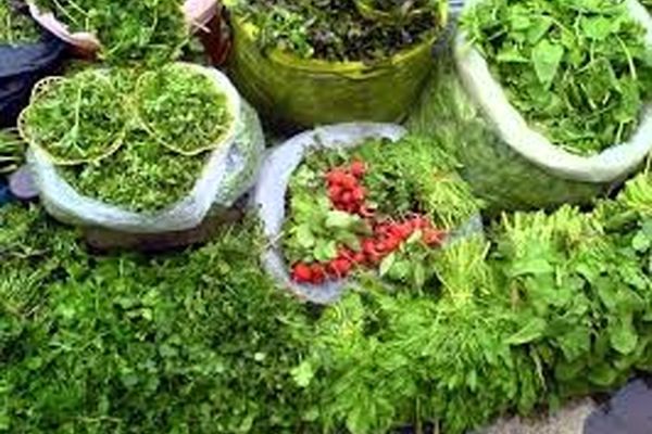 با ترکیب سبزی انواع آش‌ها آشنا شوید