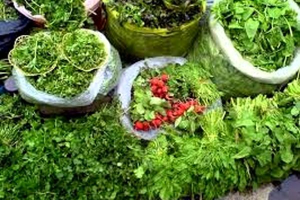با ترکیب سبزی انواع آش‌ها آشنا شوید
