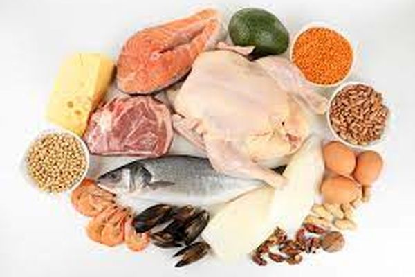 تاثیر شگفت انگیز پودر پروتئین بر وزن