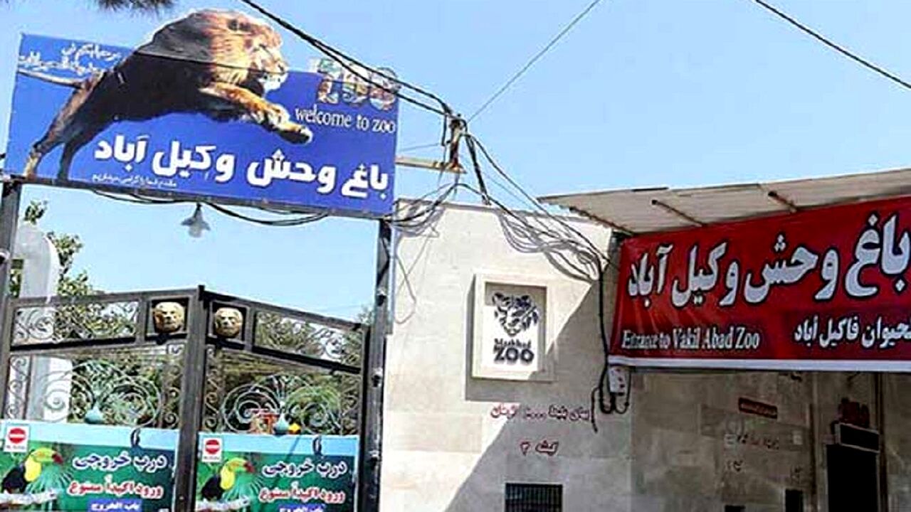 فعالیت بدون مجوز باغ وحش و پلمب باغ پرندگان مشهد در هاله‌ای از ابهام
