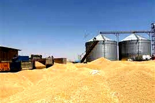 استاندار: ذخیره‌سازی محصولات راهبردی کشاورزی باید به درستی انجام شود
