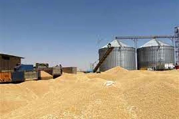 استاندار: ذخیره‌سازی محصولات راهبردی کشاورزی باید به درستی انجام شود