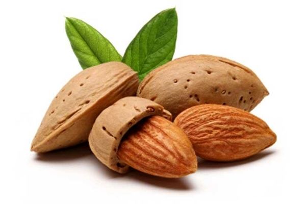 3 ماده غذایی مفید که انرژی زیادی به شما می‌دهد