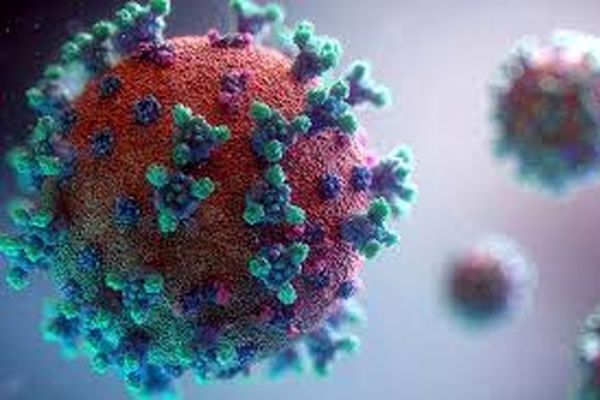 فقط گناباد زرد کرونایی است/همه شهرستان‌های خراسان رضوی در وضعیت آبی