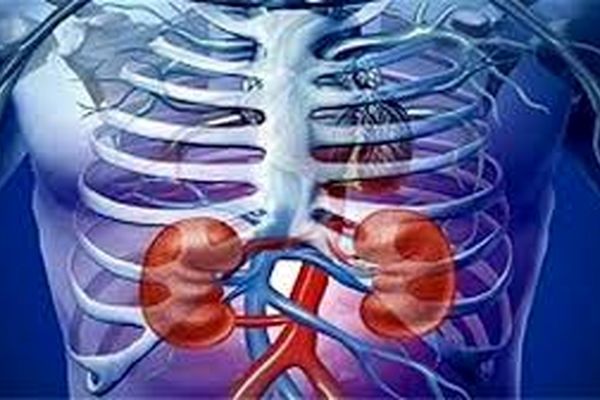با رعایت چند توصیه پزشکی هرگز به بیماری کلیوی مبتلا نمی‌شوید