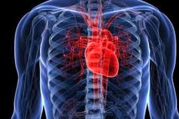 مکملی که مصرف زیادش برای قلب مضر است