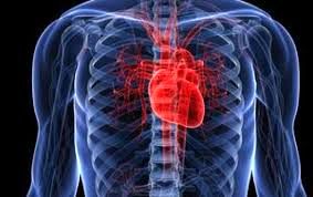 مکملی که مصرف زیادش برای قلب مضر است