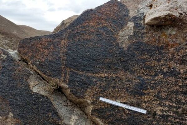 رانش ناگهانی زمین باعث از بین رفتن 1 هکتار از باغات میوه در قوچان شد