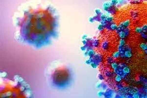 سویه جدیدی از ویروس کرونا توسط دانشمندان فرانسوی کشف شد
