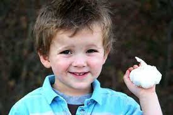 خواص بی نظیری که مصرف سیر برای سلامت کودکان دارد