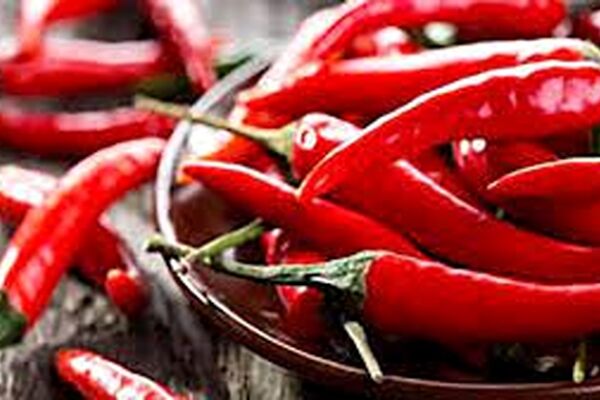 فلفل قرمز طبیعی‌ترین مسکن درد قلب است