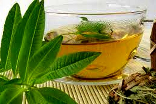 خواص درمانی به لیمو/این گیاه راه‌حلی برای مشکل شوره سر در موها است