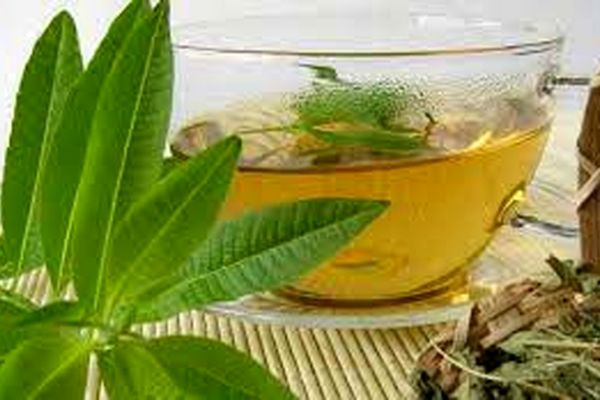 خواص درمانی به لیمو/این گیاه راه‌حلی برای مشکل شوره سر در موها است