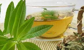 خواص درمانی به لیمو/این گیاه راه‌حلی برای مشکل شوره سر در موها است