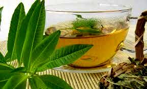 خواص درمانی به لیمو/این گیاه راه‌حلی برای مشکل شوره سر در موها است