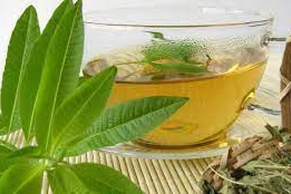 خواص درمانی به لیمو/این گیاه راه‌حلی برای مشکل شوره سر در موها است