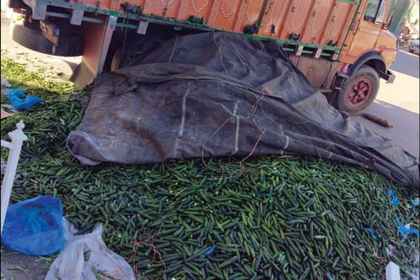 10 کیلوگرم تریاک از میان بار خیار در مشهد کشف شد