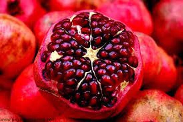 معجزه انار برای سالمندان را بدانید