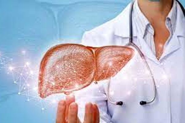 چای سبز از آسیب کبد جلوگیری می‌کند/معرفی 9 مواد غذایی مفید برای کبد