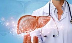 چای سبز از آسیب کبد جلوگیری می‌کند/معرفی 9 مواد غذایی مفید برای کبد