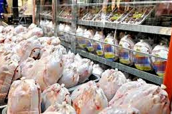 بازار مشهد از گوشت مرغ اشباع است