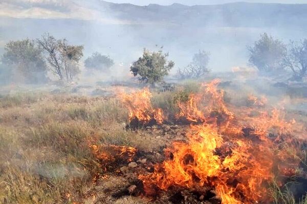 آتش‌ ۸۰ هکتار از مراتع کلات خراسان رضوی را در بر گرفت