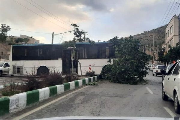 وزش باد از عصر امروز در خراسان رضوی شدت می‌گیرد/ پیش‌بینی بارش‌های پراکنده باران در برخی مناطق استان