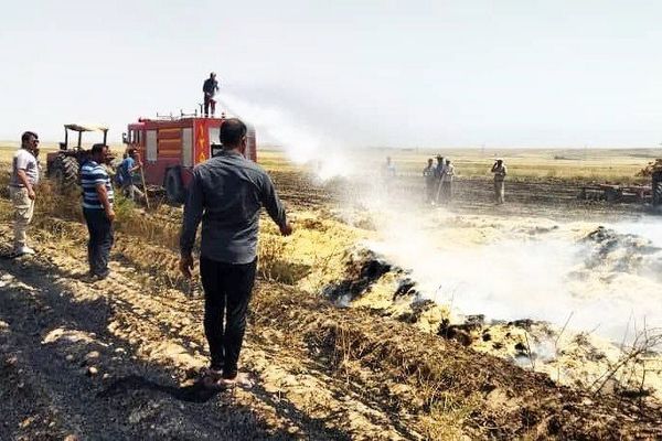 دستگیری عاملان آتش‌سوزی گندمزارهای جوین خراسان رضوی