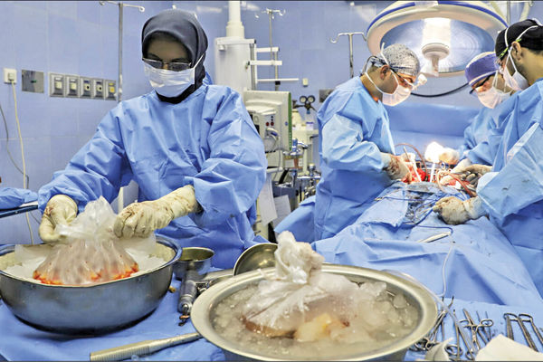 اهدای اعضای بانوی مرگ مغزی در مشهد جان ۳ نفر را نجات داد