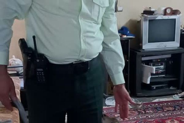 پلیس رضوی ضامن بچه آهو