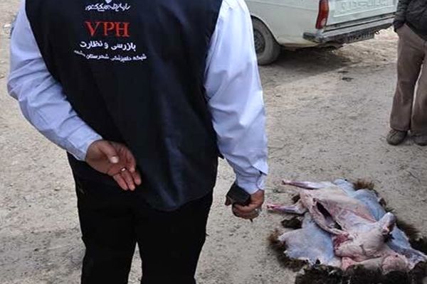 استقبال کنندگان از حجاج از کشتار دام در معابر عمومی خودداری کنند